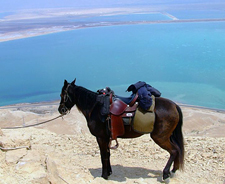 Israel-Galilee-Kaleidoscope Ride across Israel